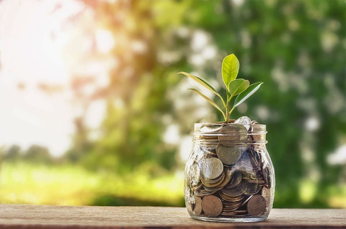 jar of money with plant growing